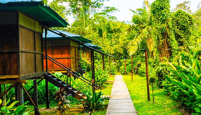 Tambopata Cabin