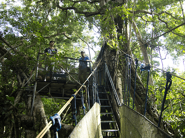 Tambopata Canopy Walkways Actividad 3