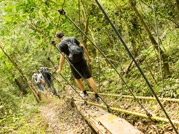 Tambopata Excursión Selva Tour