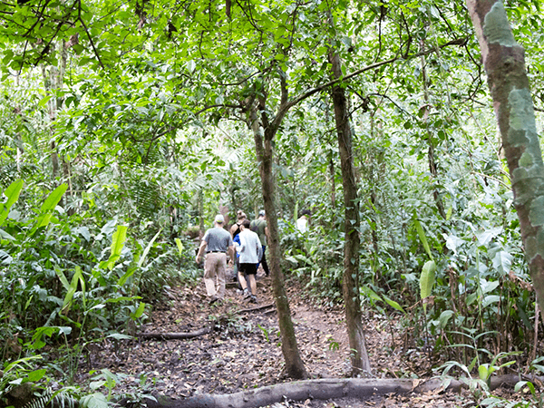 Tambopata Selva Tour