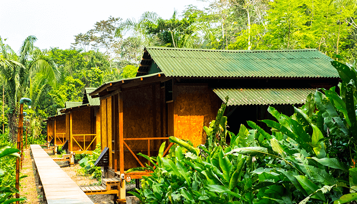 Tambopata Cabin 3